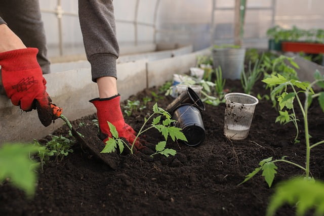 Tuinman in Spijkenisse