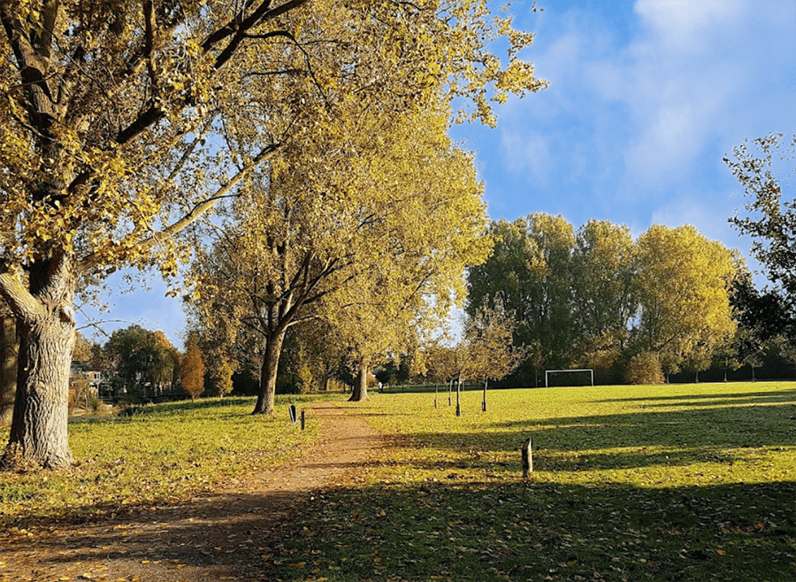 Park Waterland